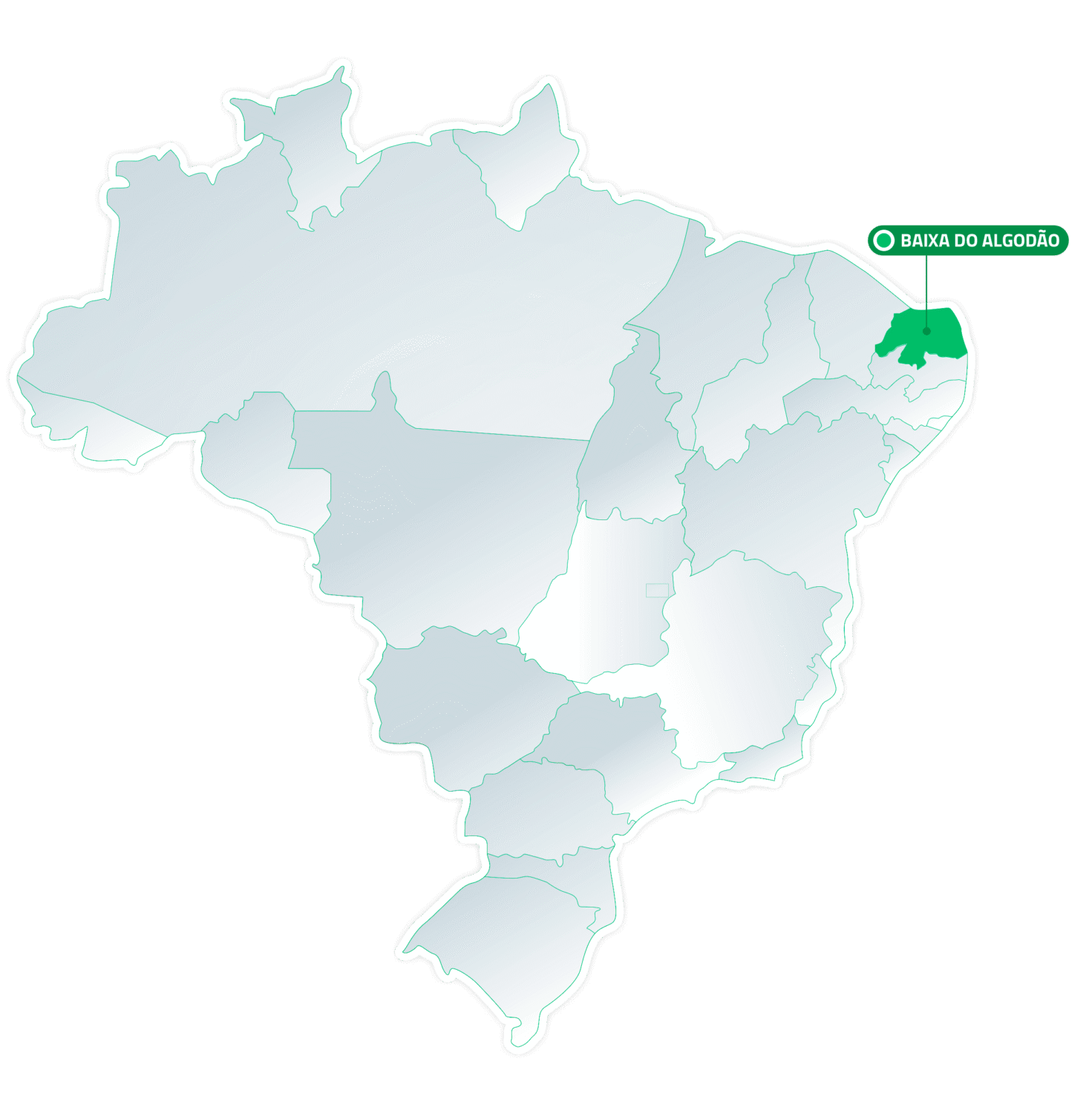 Brasil Baixa Do Algodao