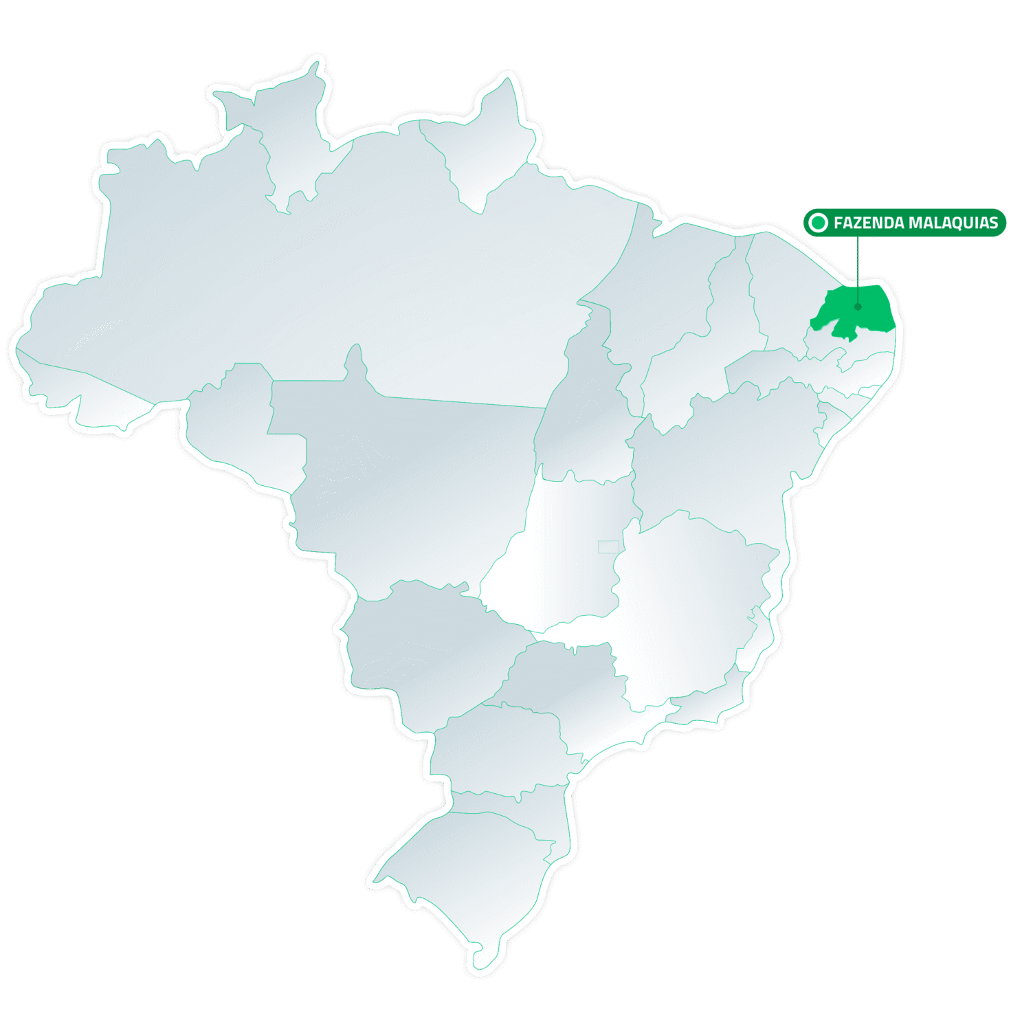 Brasil Fazenda Malaquias